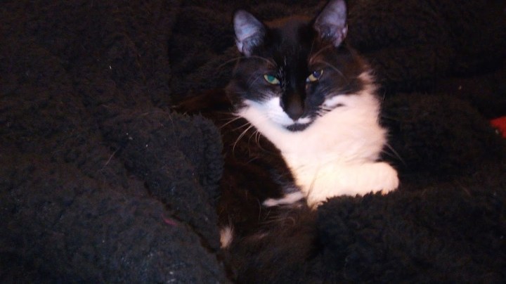 IMG_20170602_235826_1CS