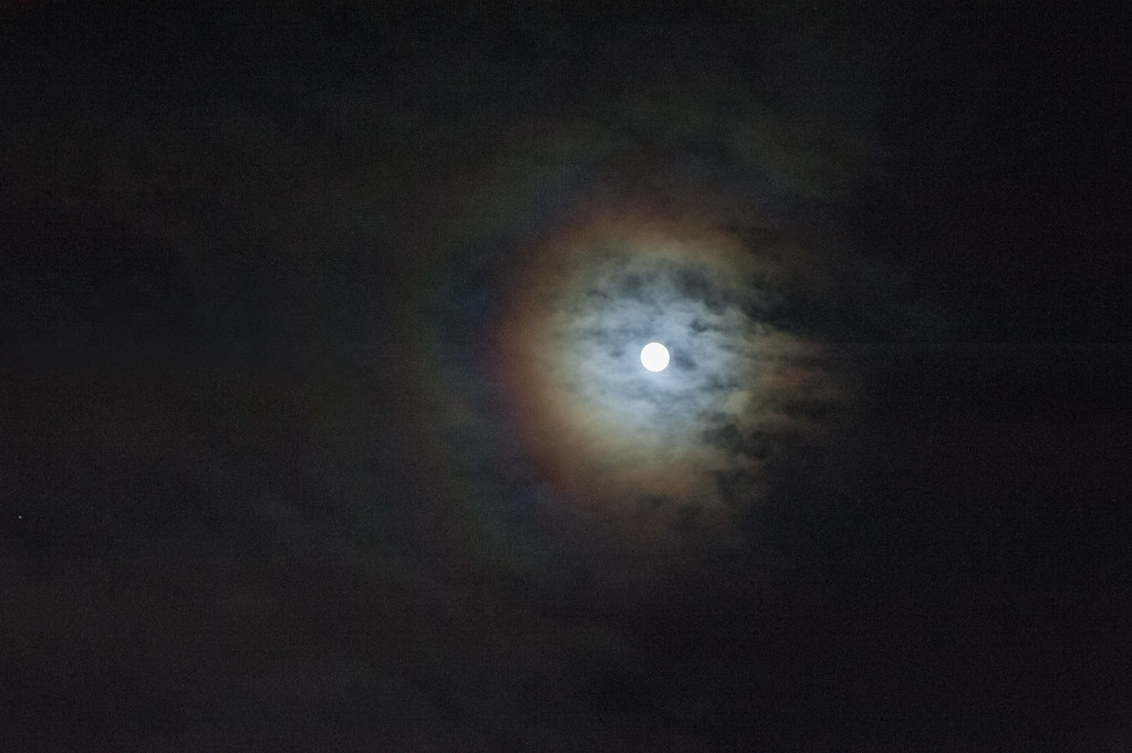 God s Paint Box Eclectic Assemblage